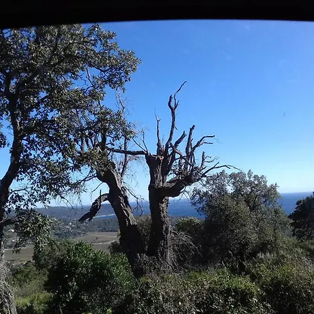 Appartement Les Emeraudes La Croix-Valmer